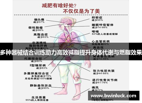 多种器械结合训练助力高效减脂提升身体代谢与燃脂效果