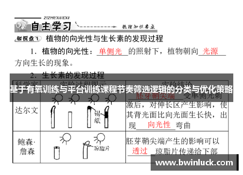 基于有氧训练与平台训练课程节奏筛选逻辑的分类与优化策略